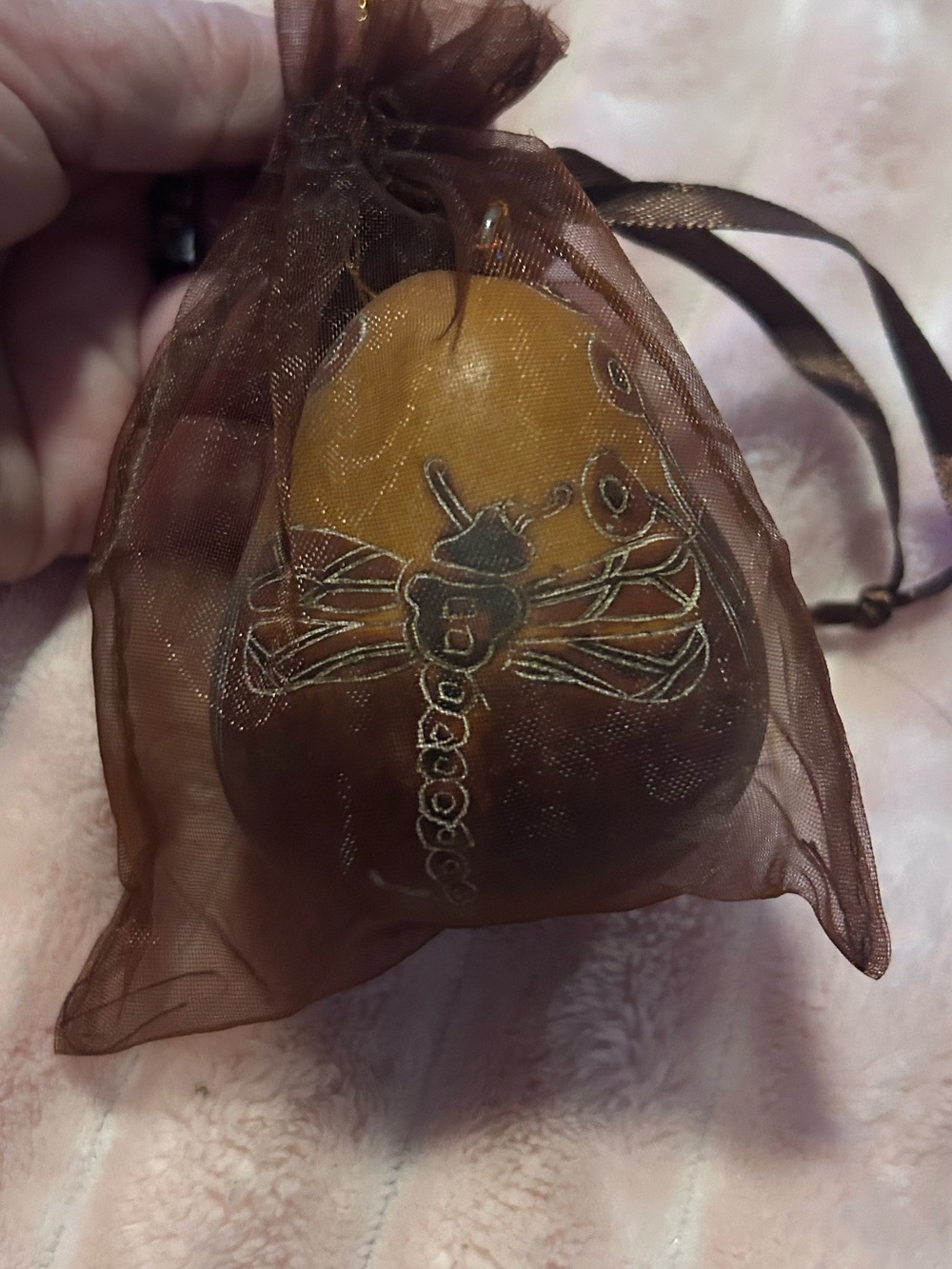 Lucuma Peruvian Nativity Gourd Ornament dragonfly’s